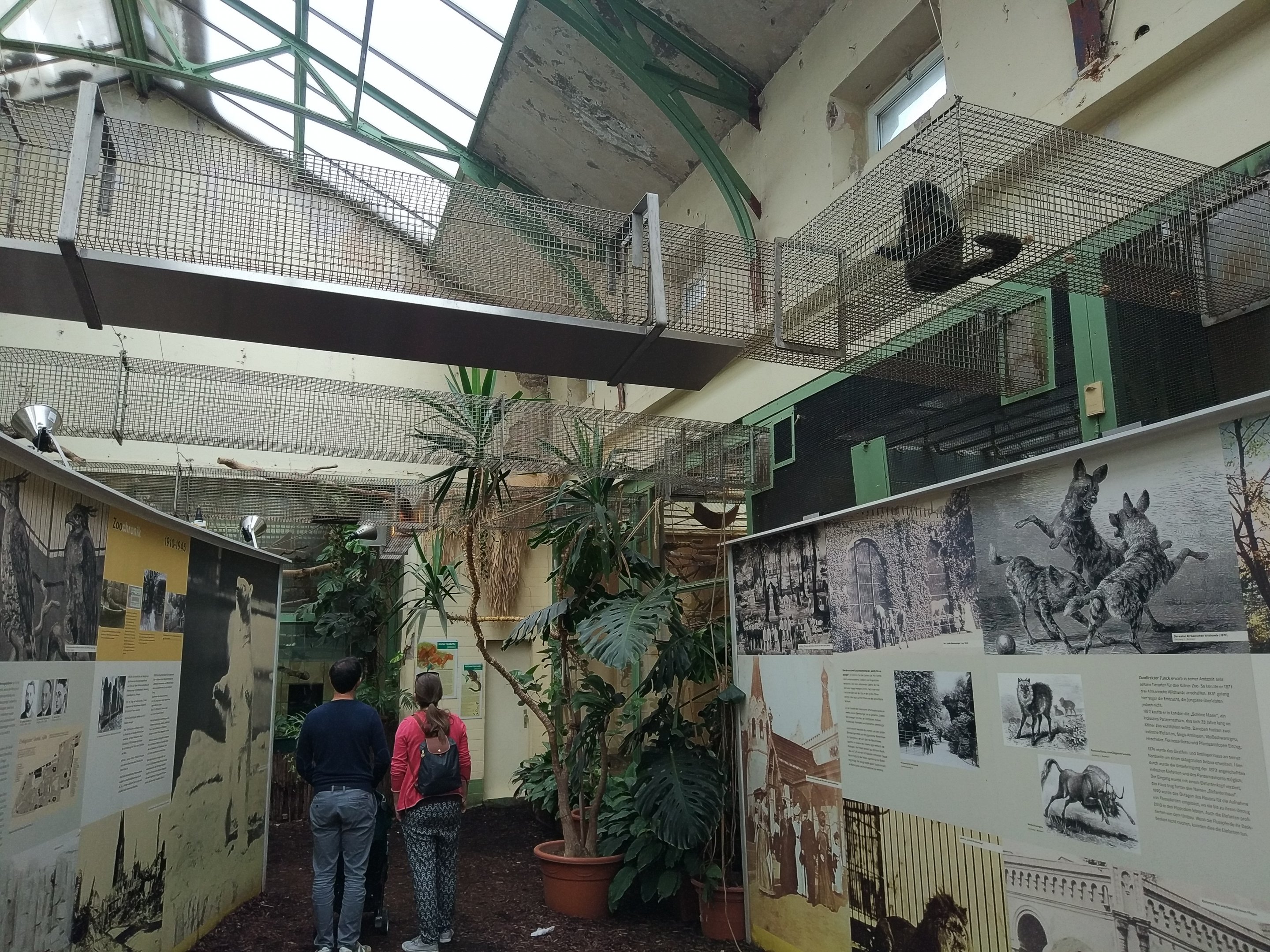 Inside the South American House