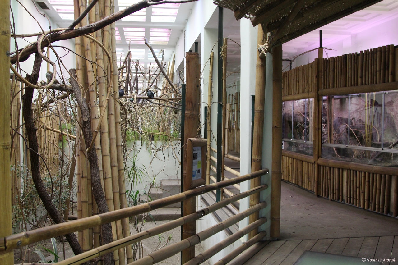 Inside the South East Asia House