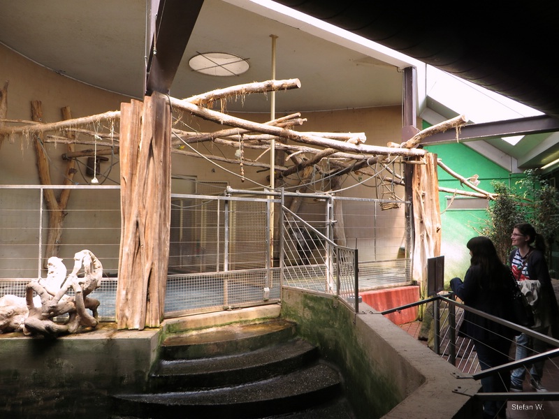 Inside the Tapir House (2014)