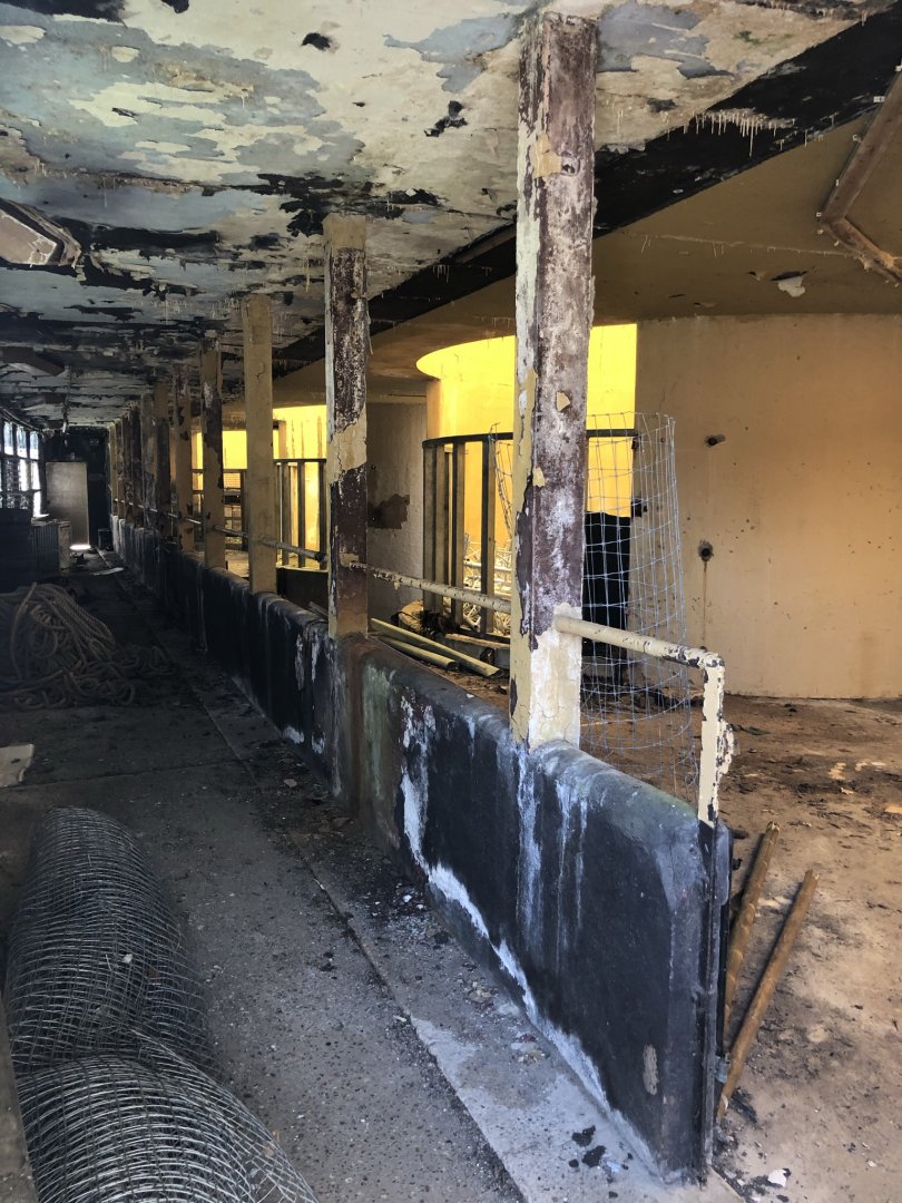 Inside the Tecton Elephant House at Whipsnade Zoo