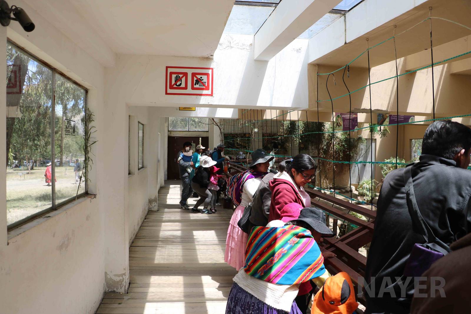 Inside the tortoise house, March 2016