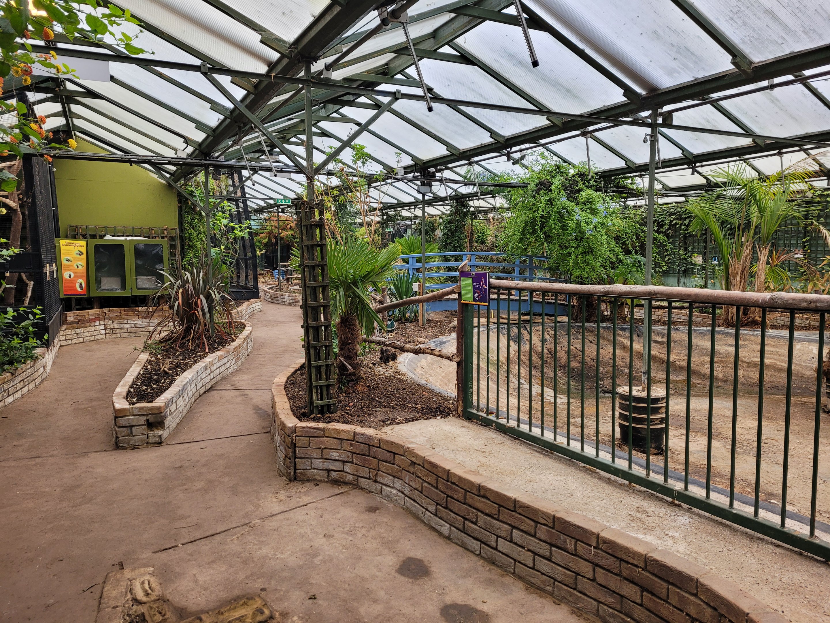 Inside the Tropcical House