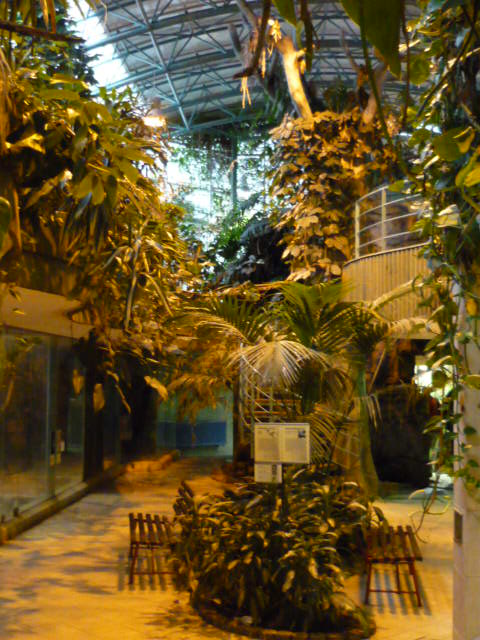 Inside the Tropical House, Ground Floor