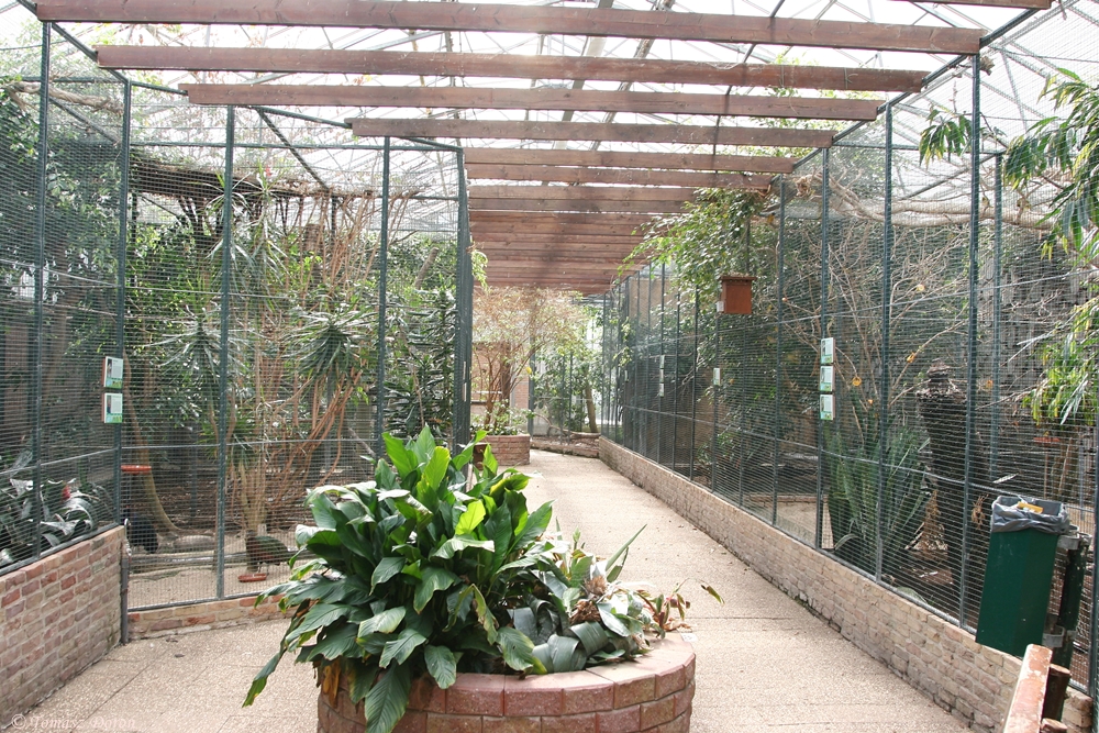 Inside the Tropical House