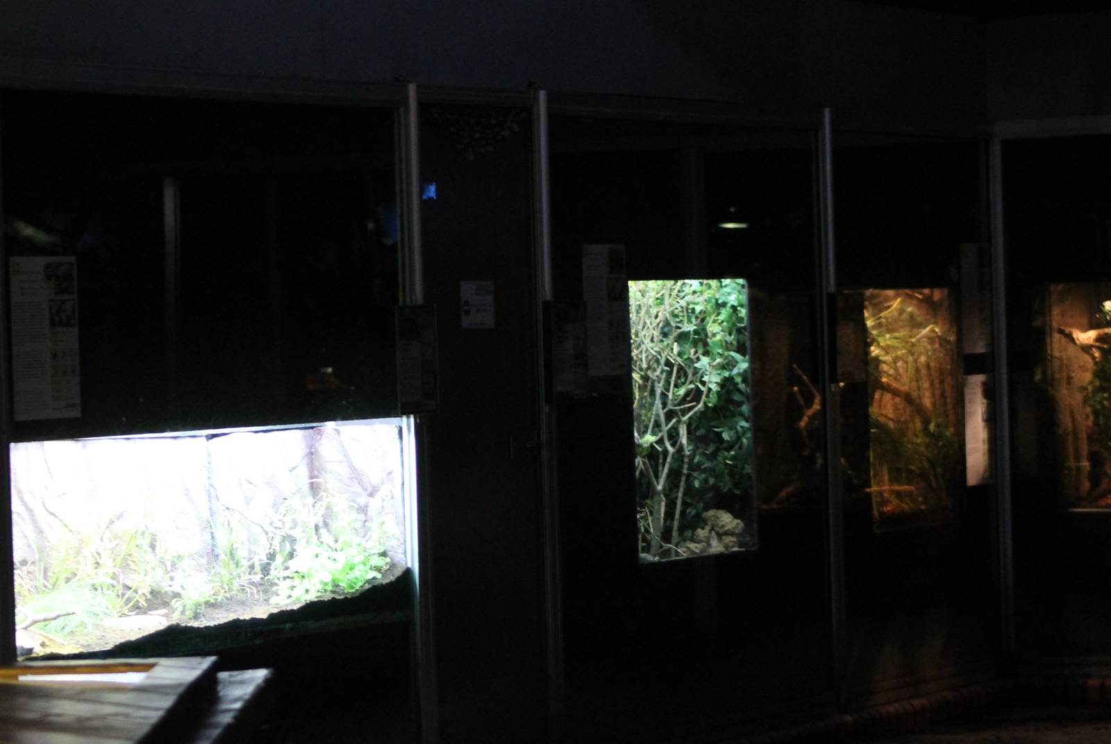 Inside the Tropical house