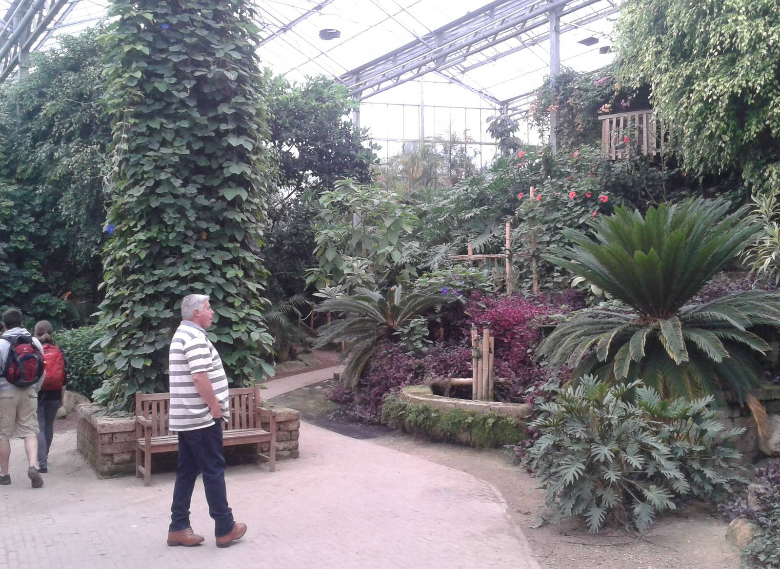 Inside the Tropical House