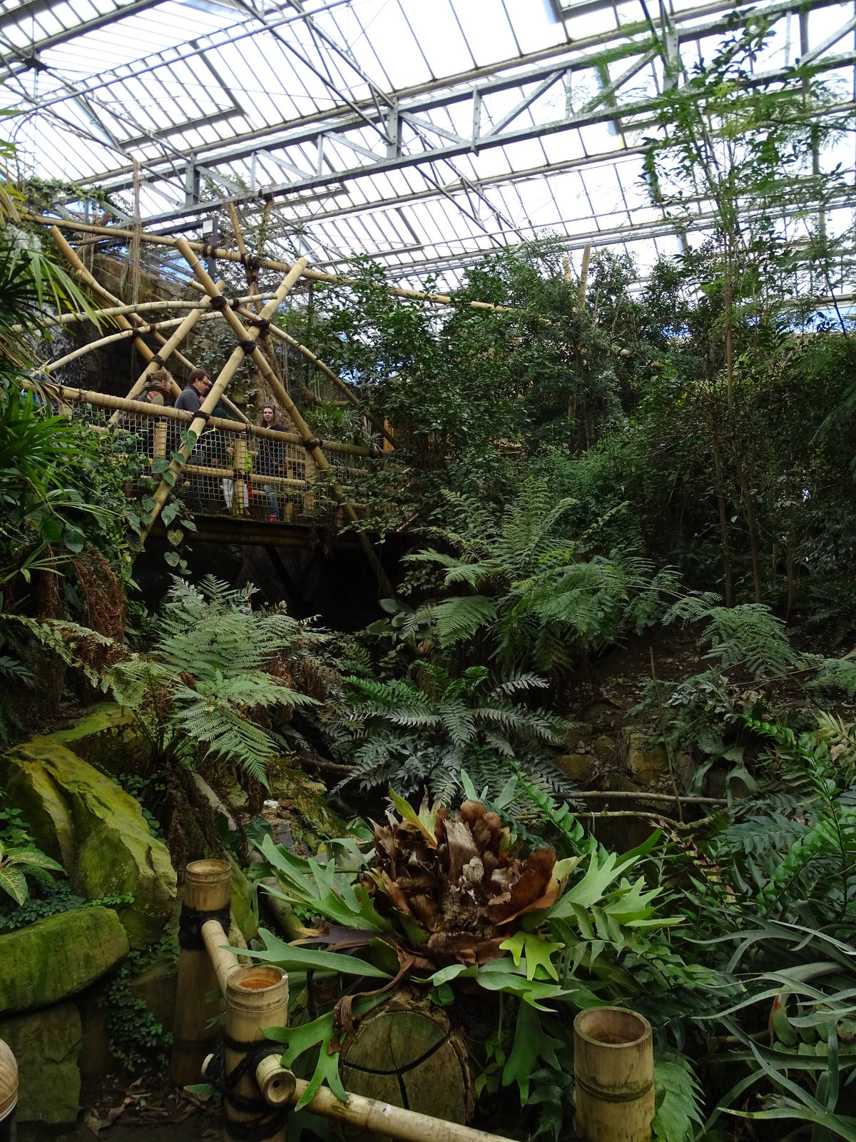 Inside the Tropical House