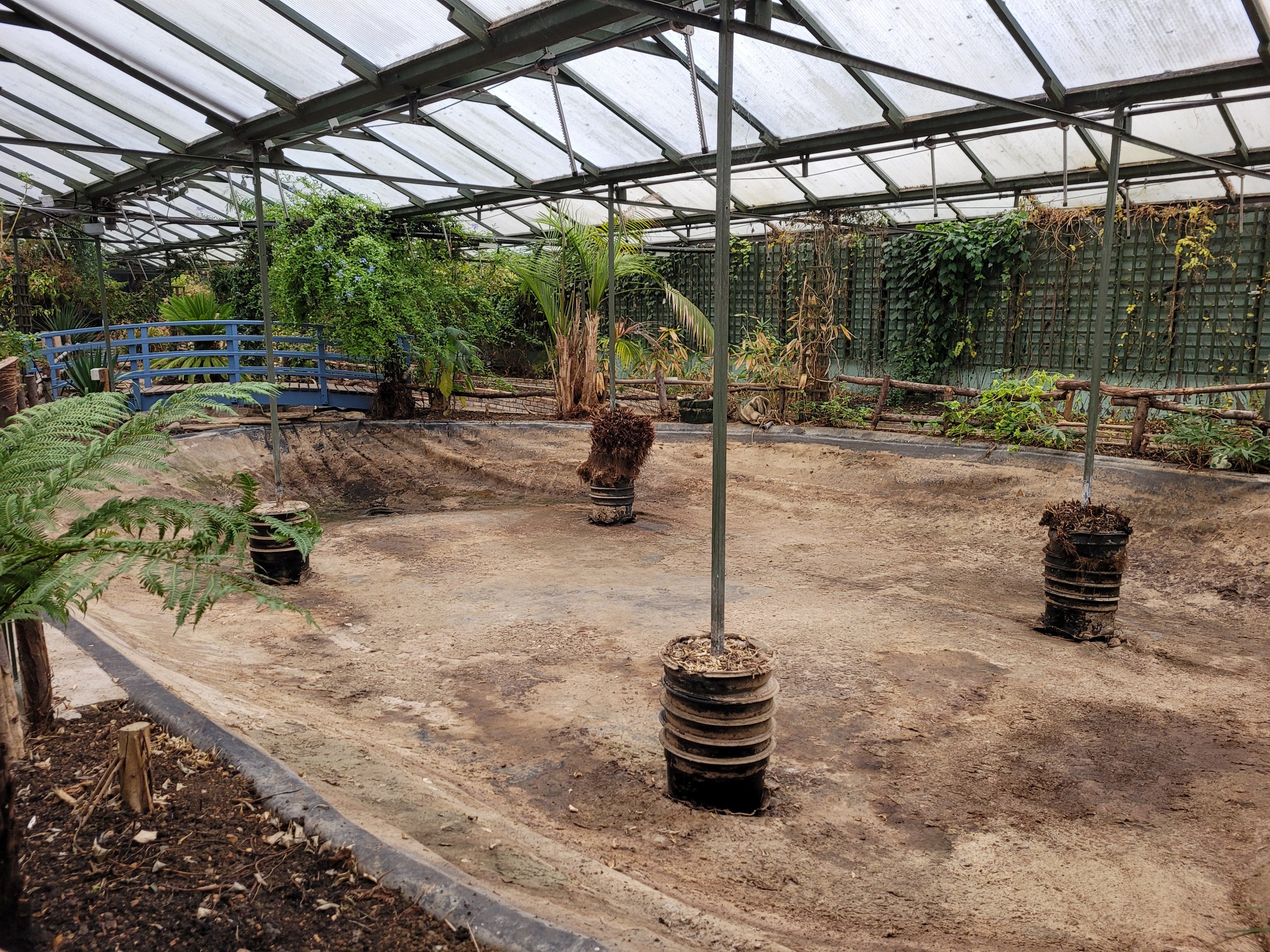 Inside the Tropical House