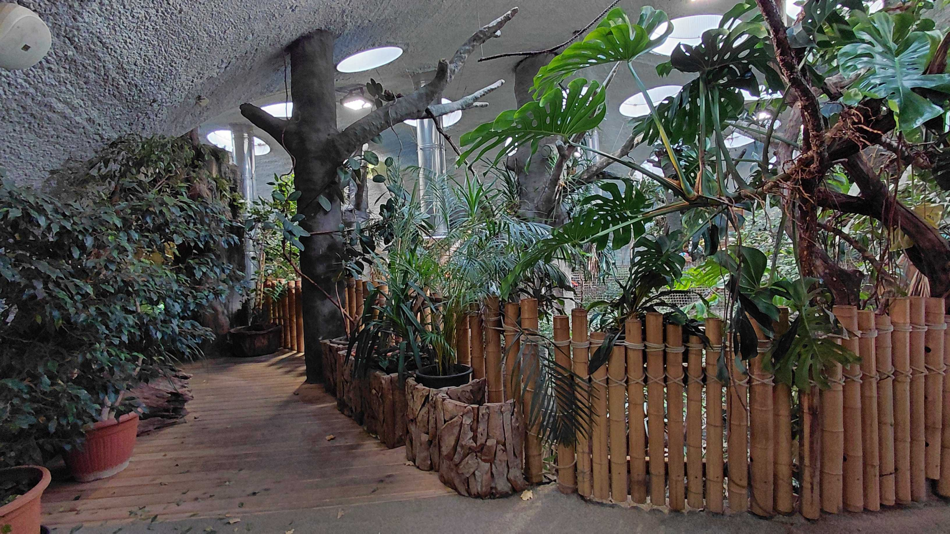 Inside the tropical house