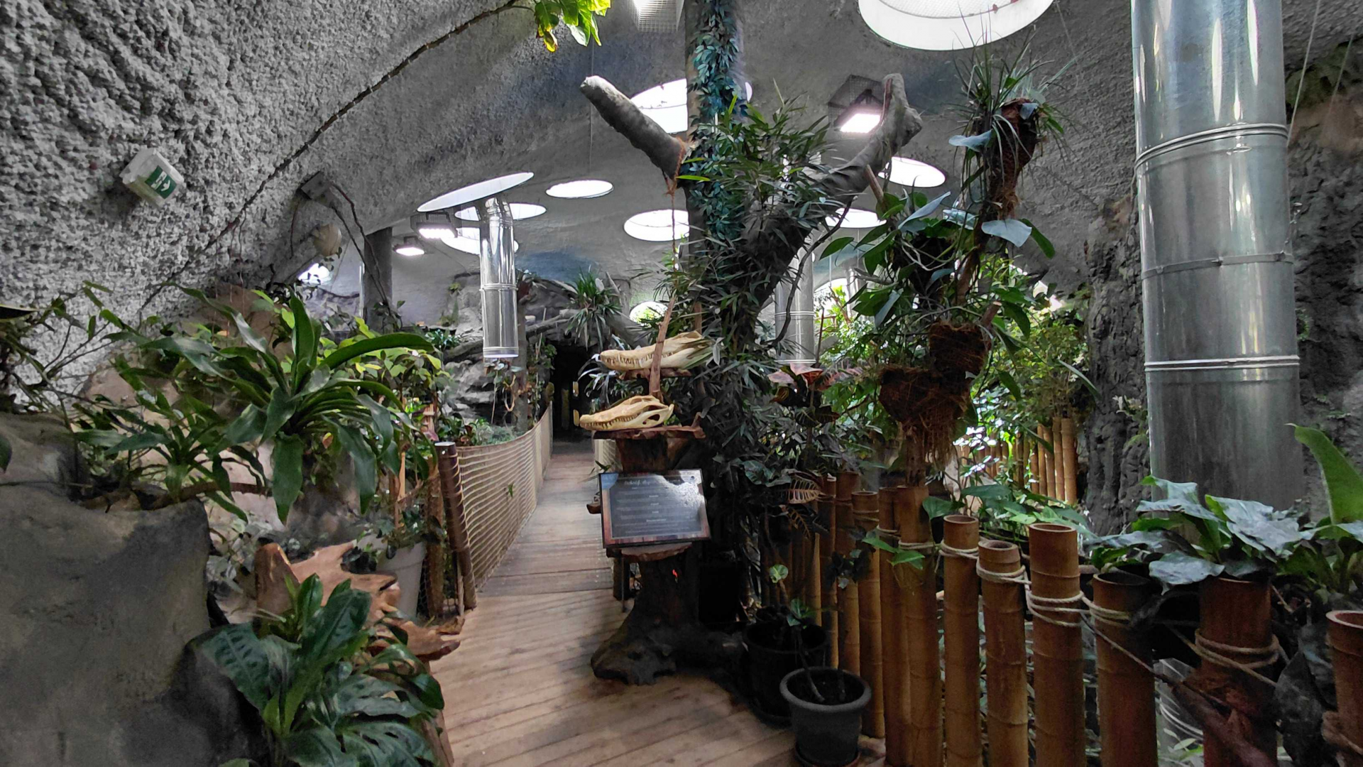 Inside the tropical house