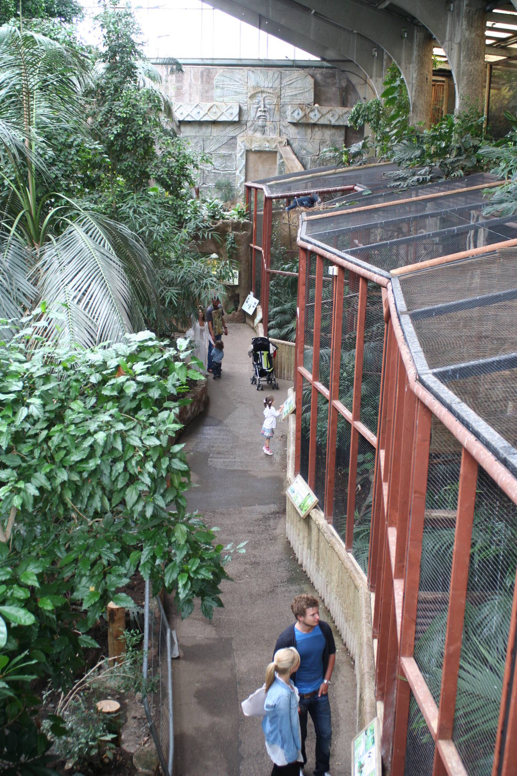 Inside the Tropical Realm  @ Chester; 17.07.10