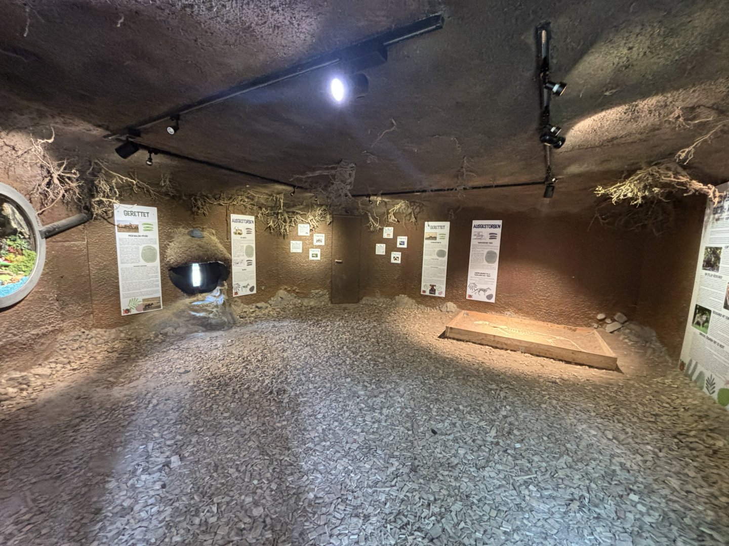 Inside the Underground Area at Zoologischer Garten Hof