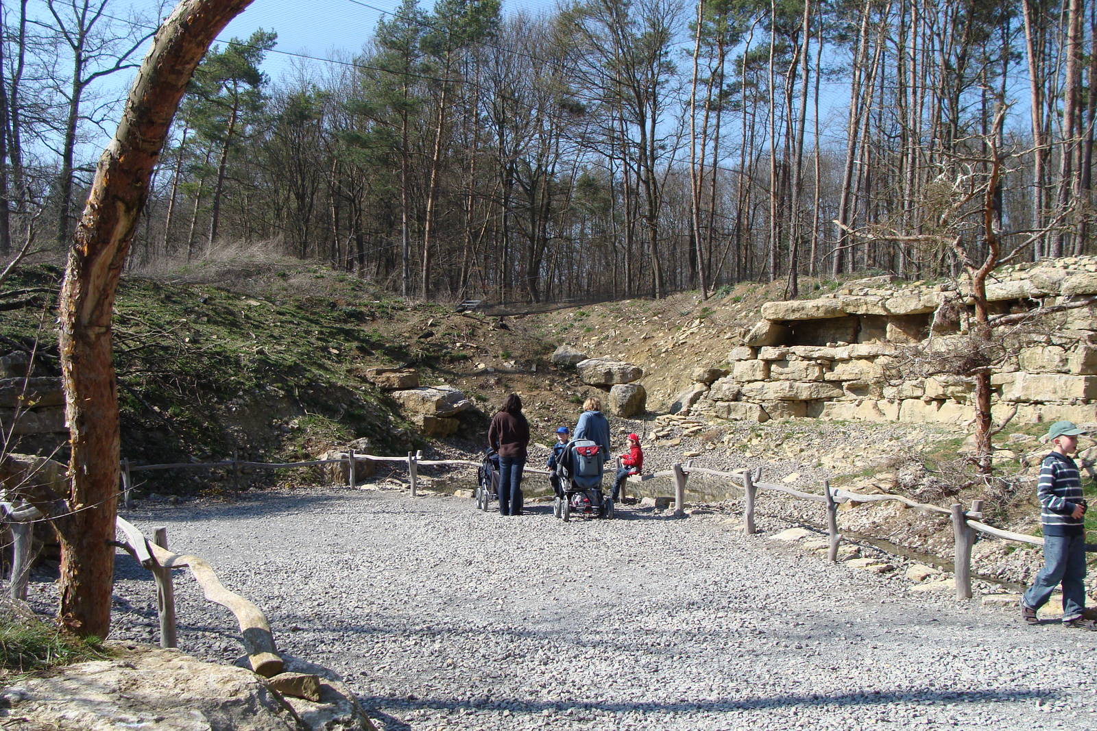 Inside the waldrapp aviary