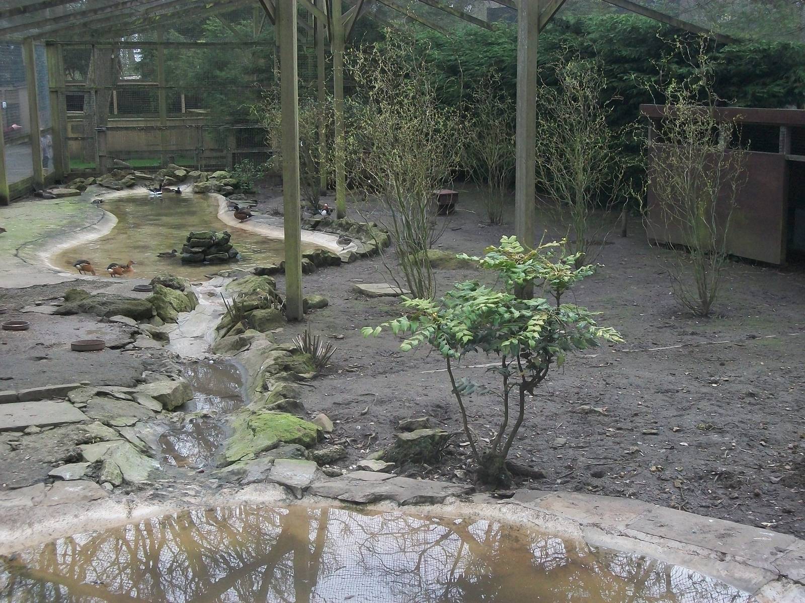 Inside the walk-through aviary, 29th March 2014