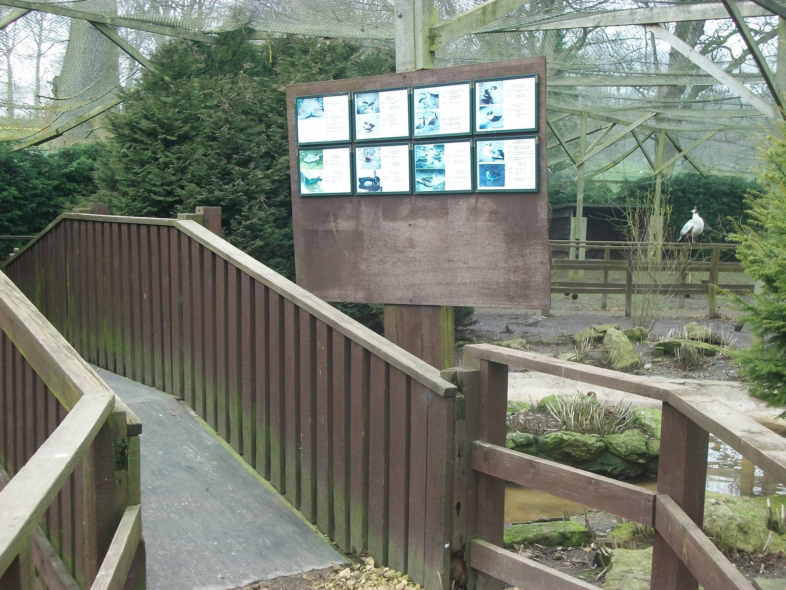 Inside the walk-through aviary, 29th March 2014