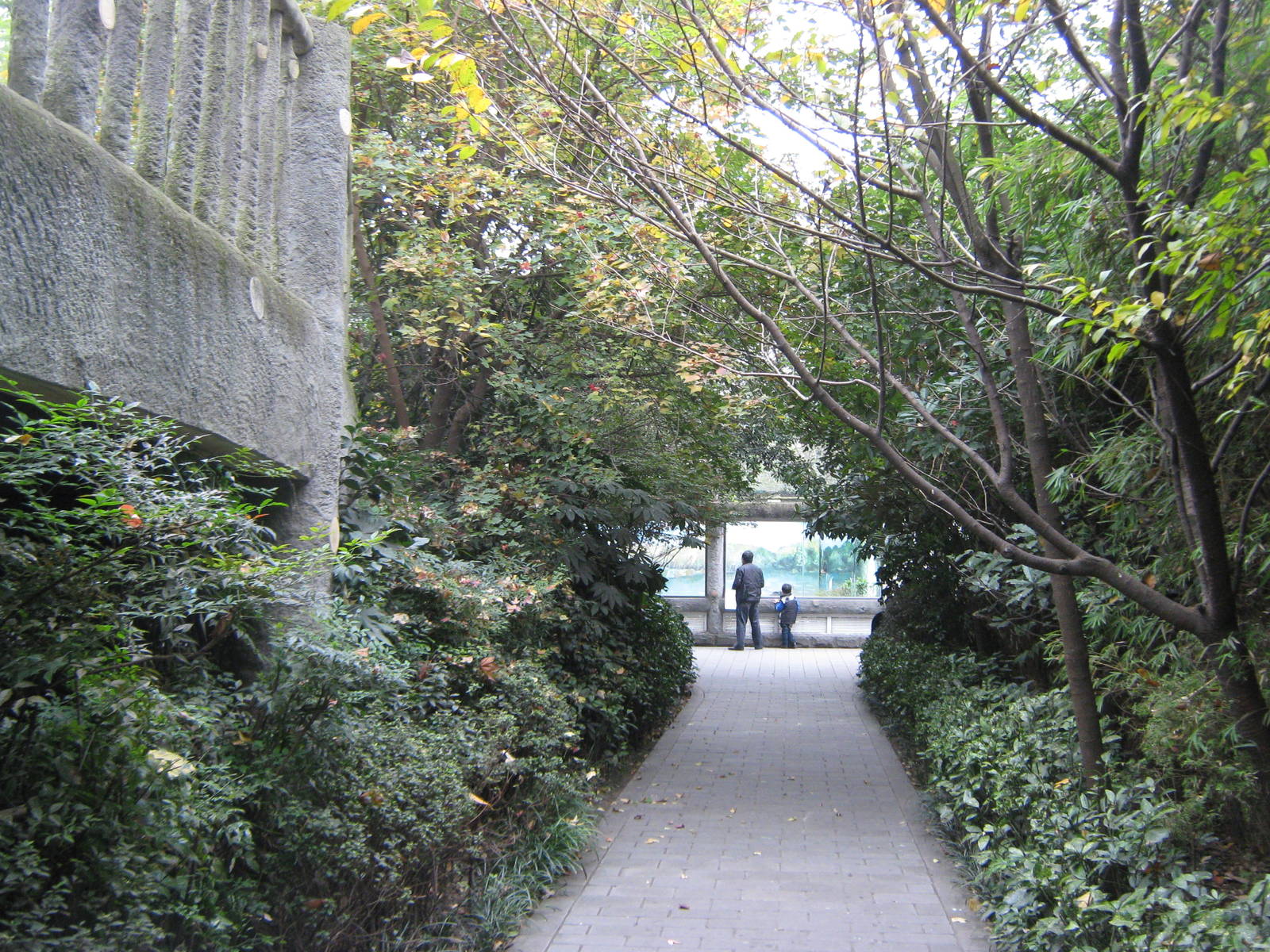 inside the walk-through aviary