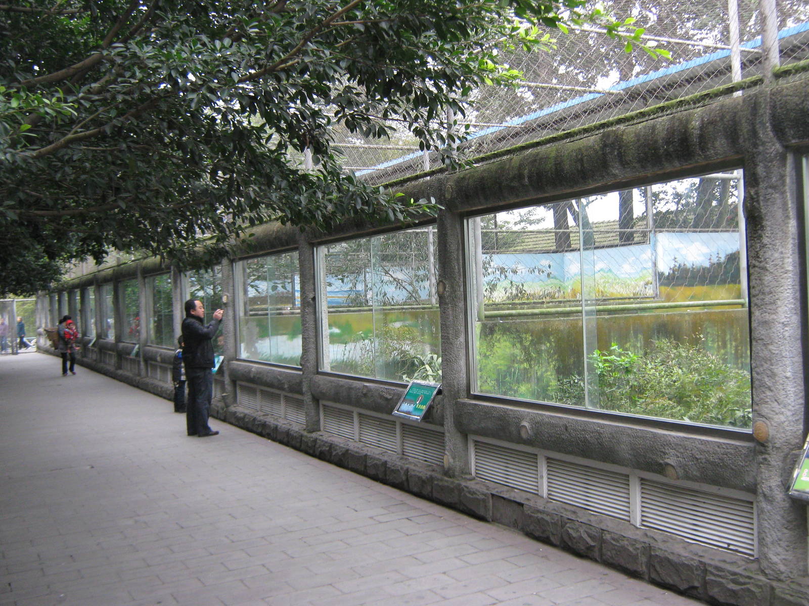 inside the walk-through aviary
