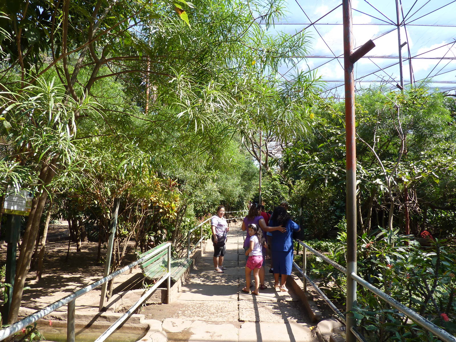 Inside the walkthrough aviary