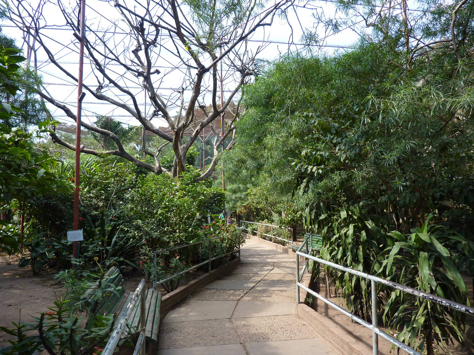 Inside the walkthrough aviary