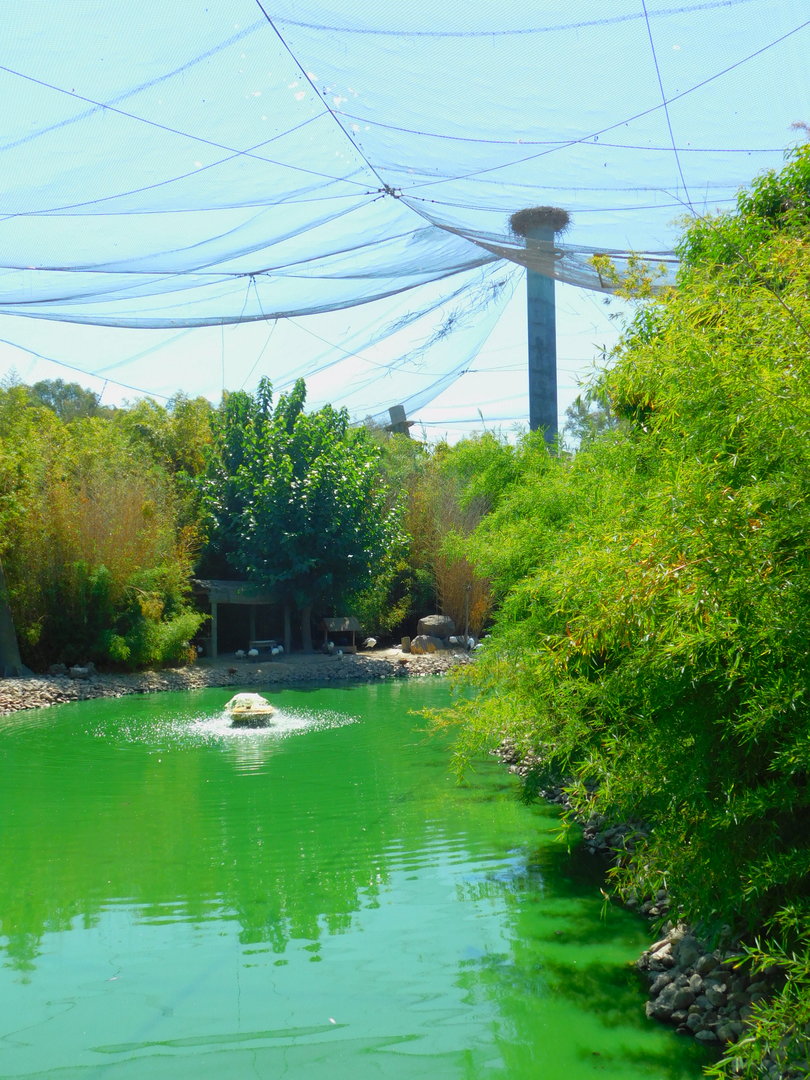 Inside the Walkthrough Aviary