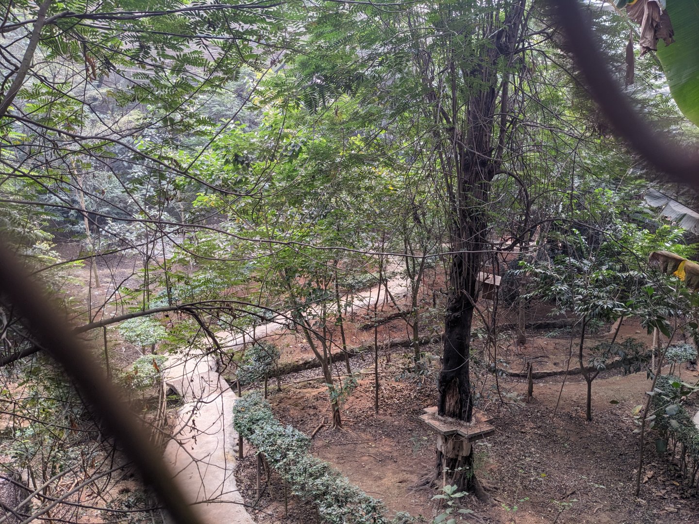 Inside the walkthrough aviary
