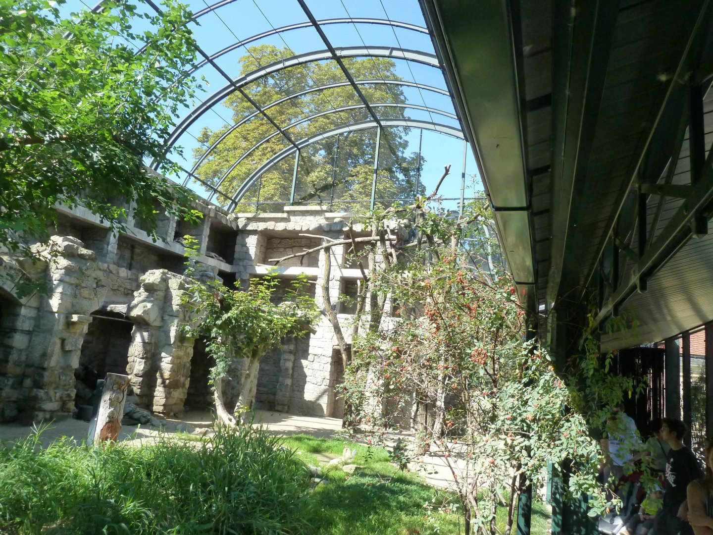Inside the Walldrap aviary