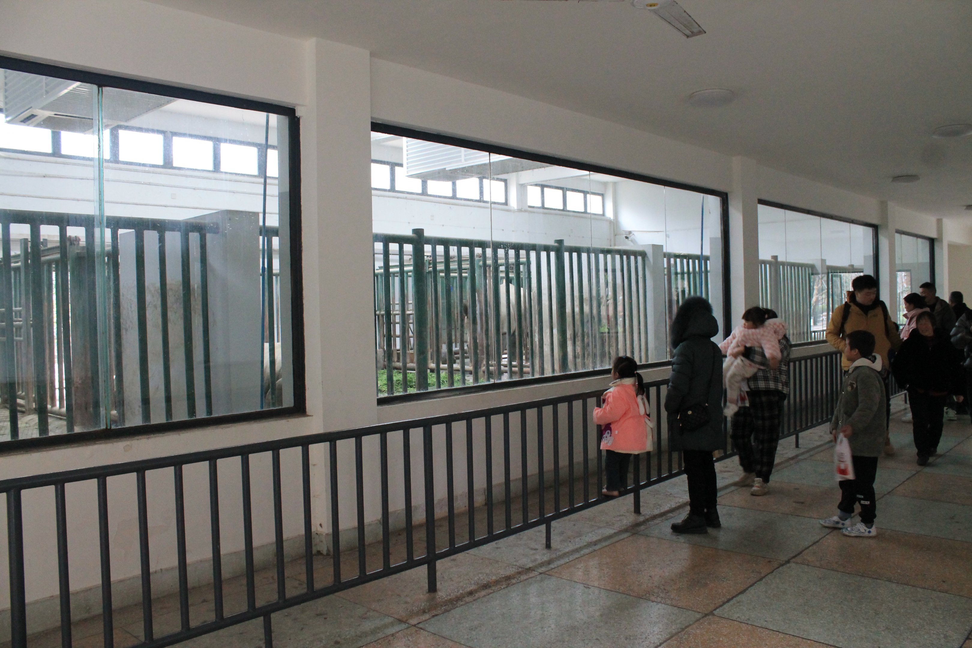 Inside the White Rhino house