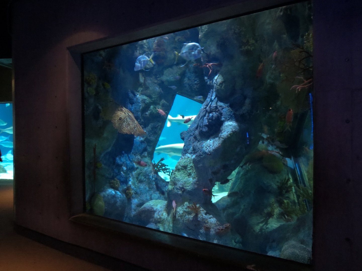 Inside the Wreck Exhibit