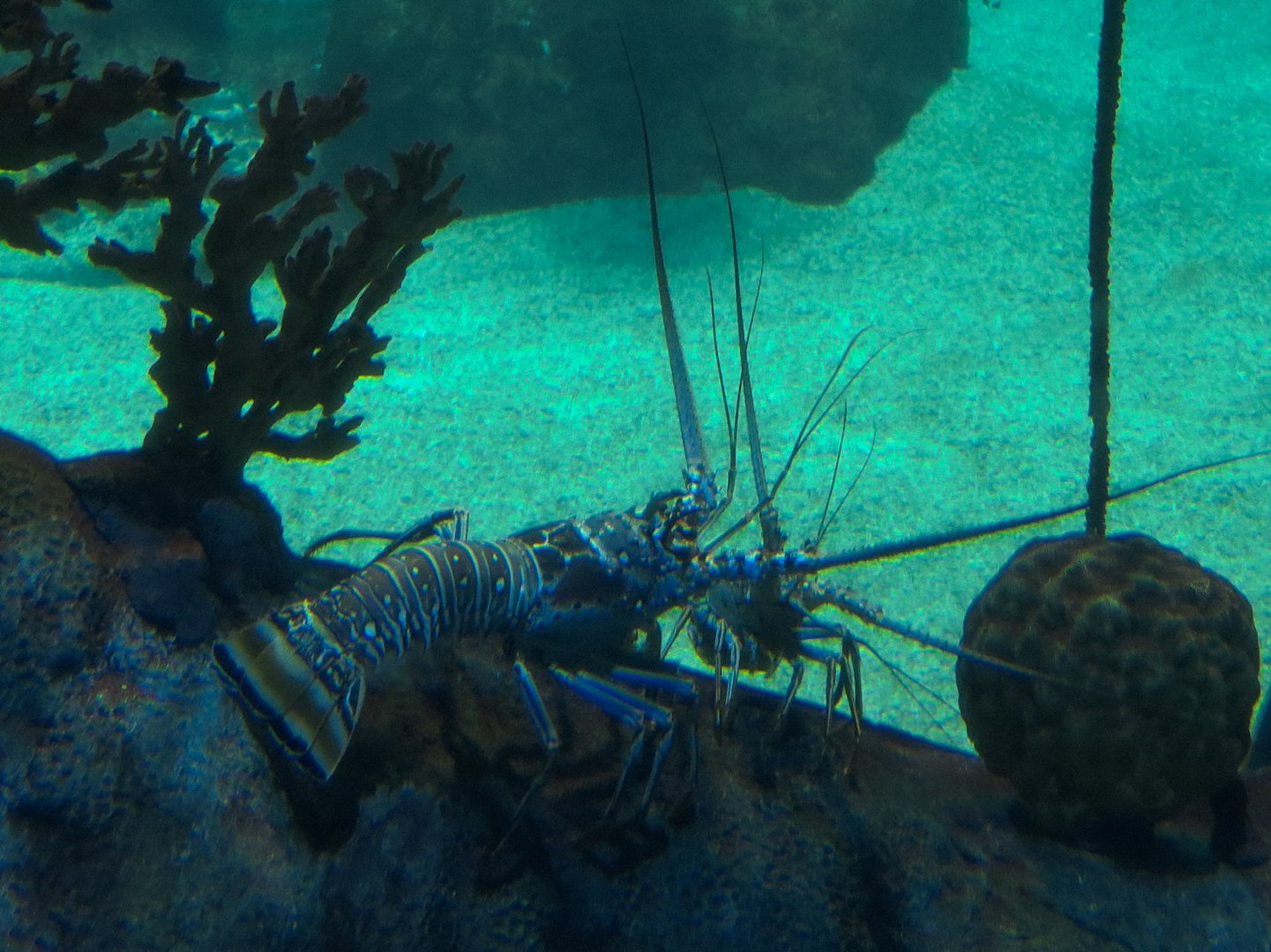 Inside the Wreck Exhibit