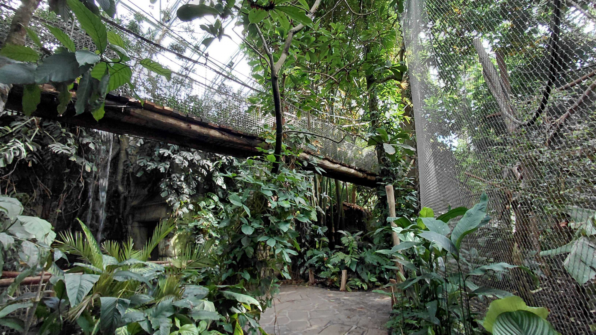 Inside the Yucatan tropical hall