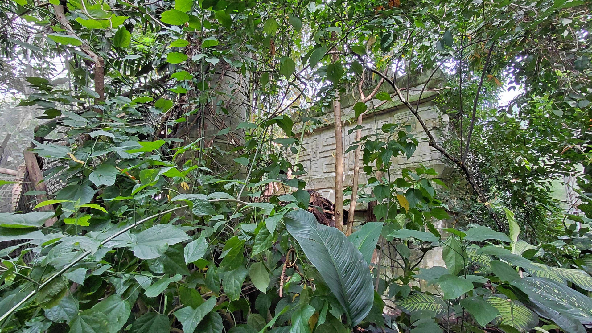 Inside the Yucatan tropical hall