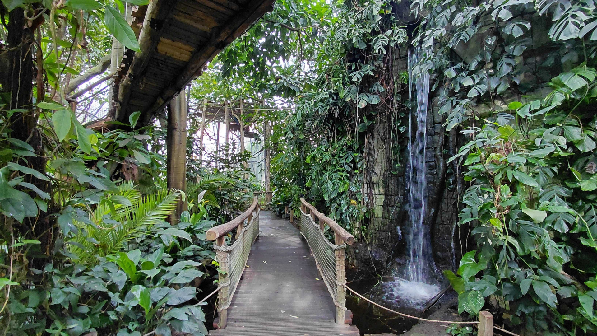 Inside the Yucatan tropical hall