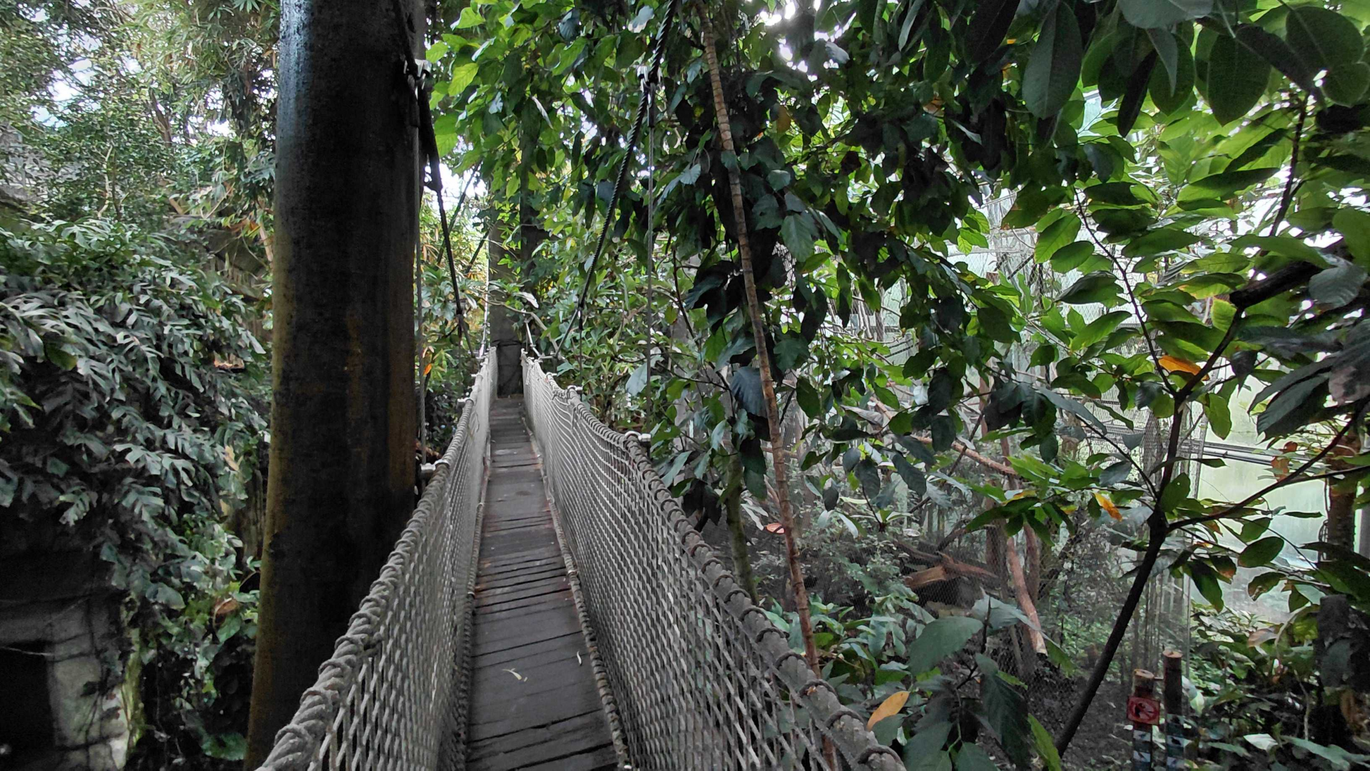 Inside the Yucatan tropical hall