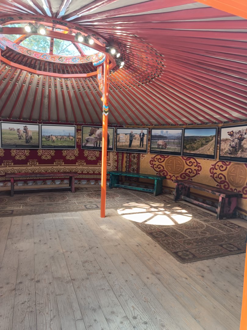 Inside the yurt - Gobi
