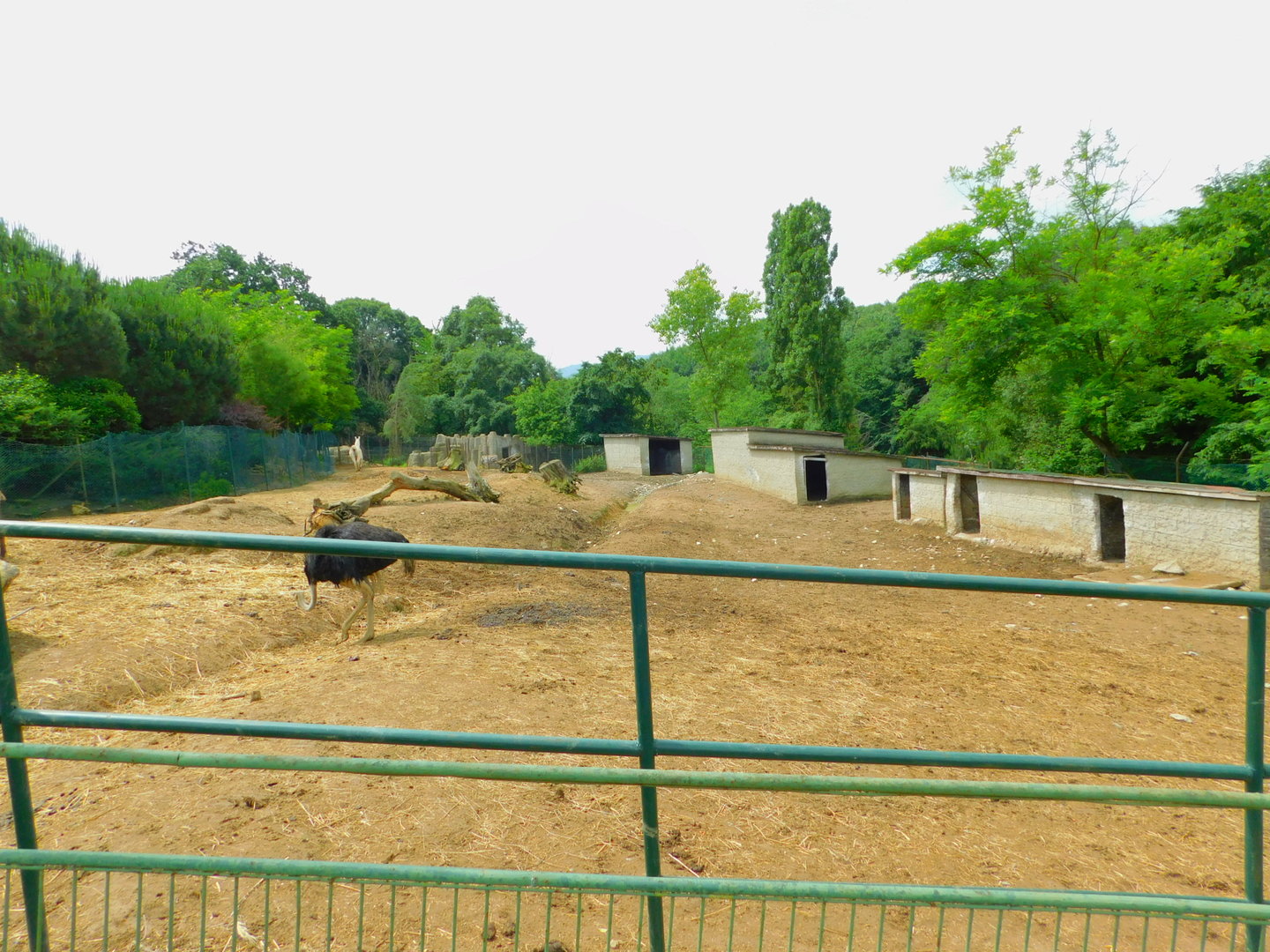 Inside the Zebra and Co. Corral
