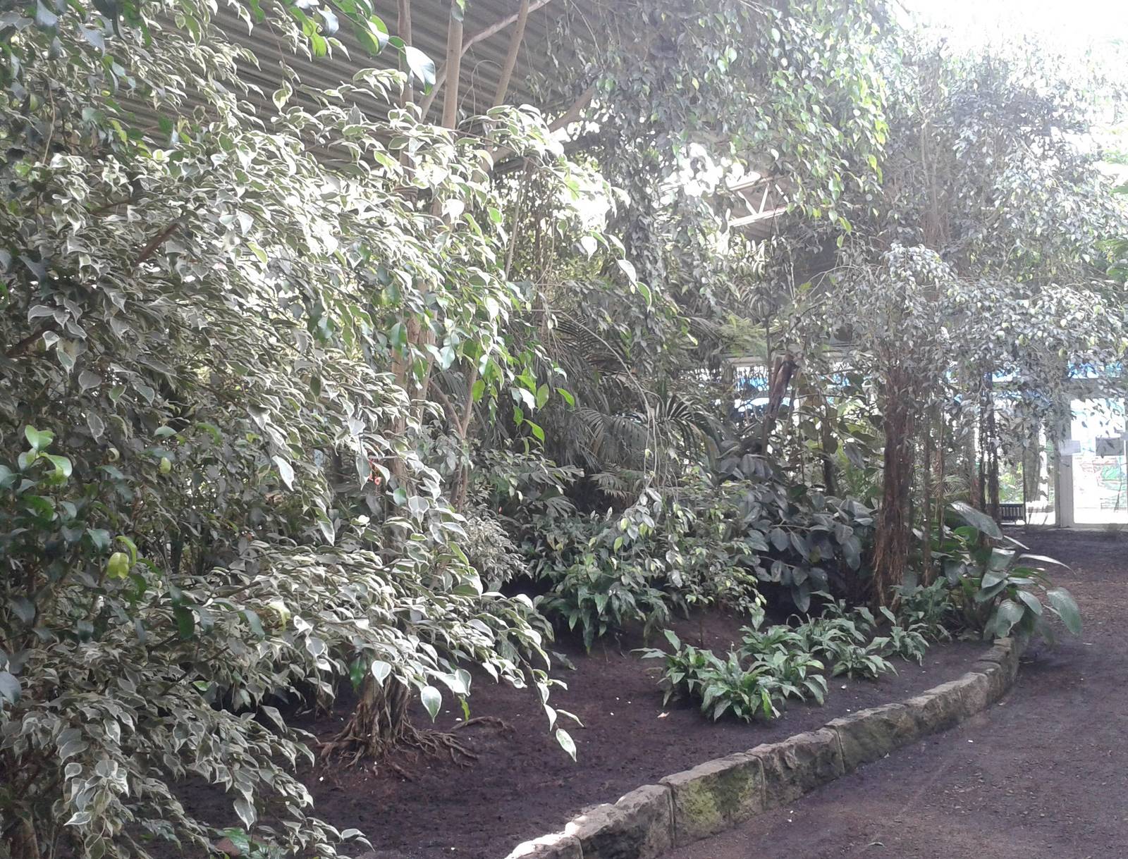 Inside Tropical Hall