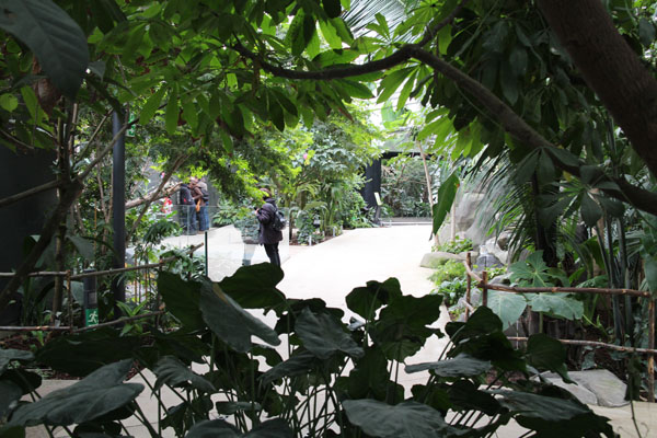 inside tropical hall