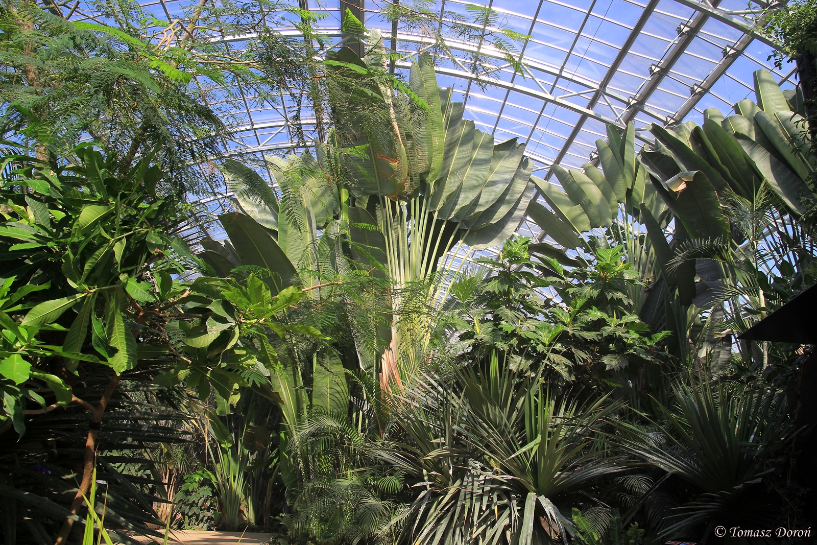 Inside Tropical Hall