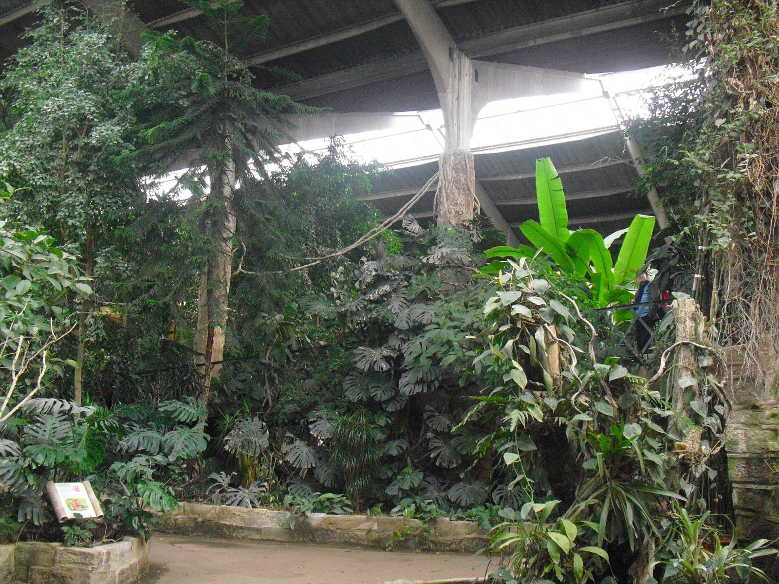 Inside Tropical Realm - 16/02/2011