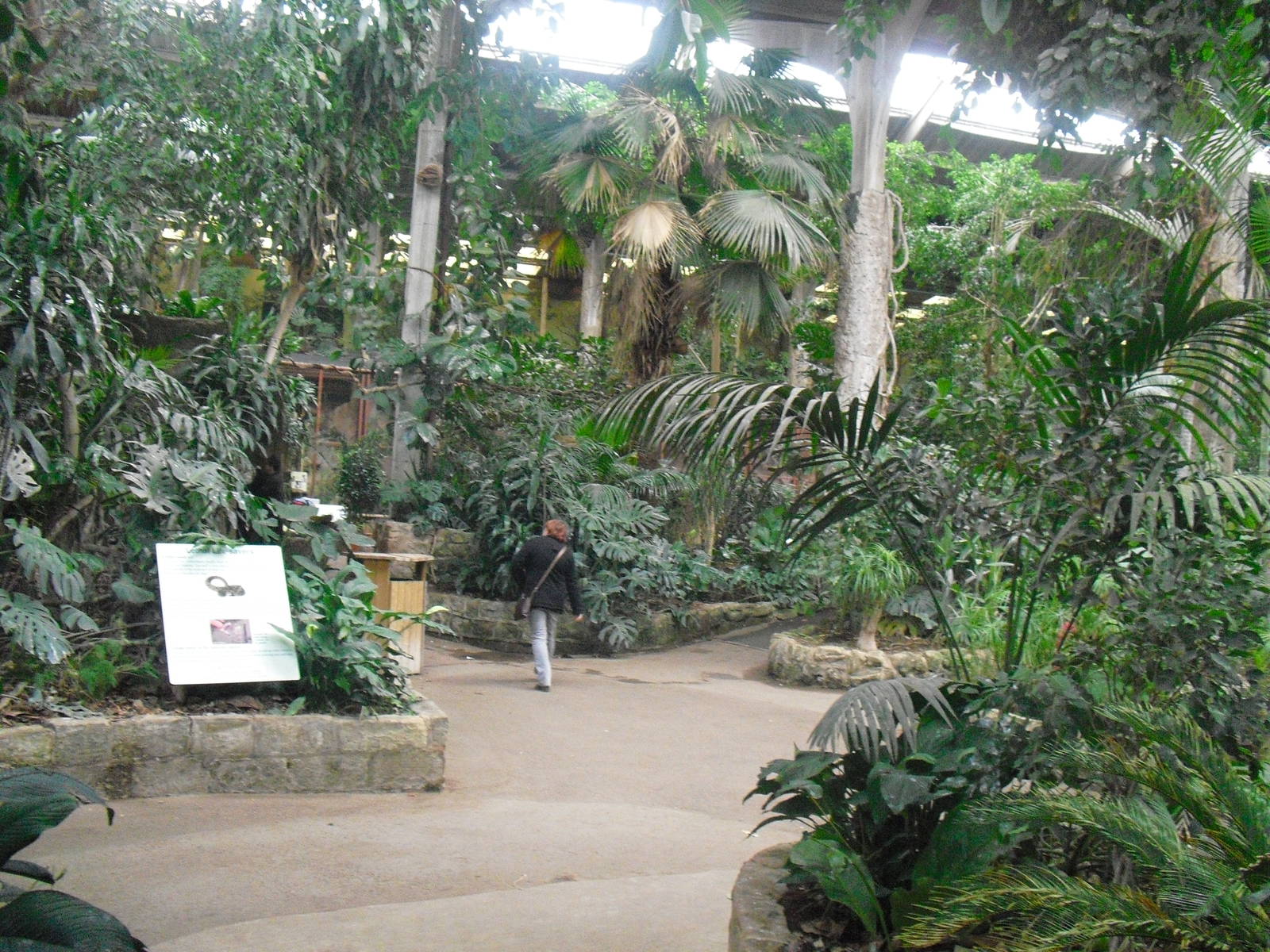 Inside Tropical Realm - 16/02/2011
