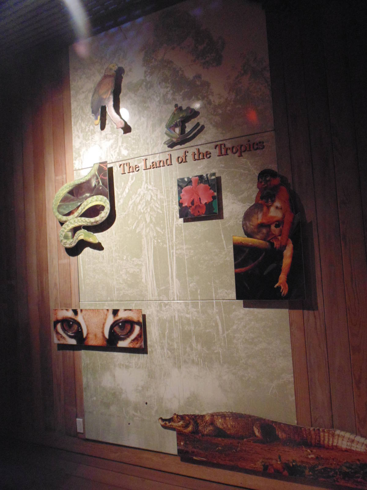 Inside Tropics Building