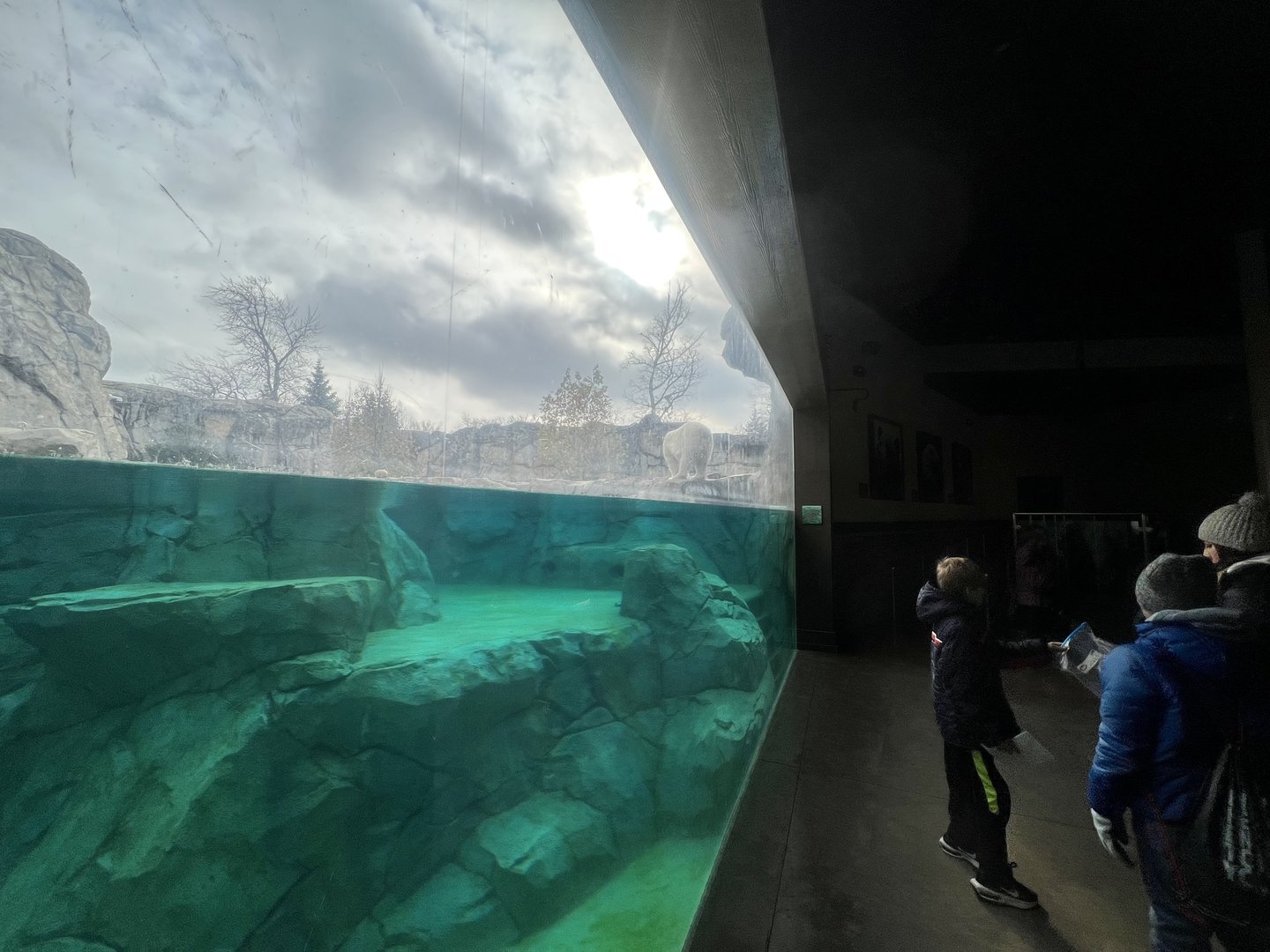Inside underwater viewing window