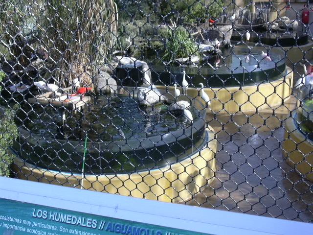 Inside vieuw wetlands aviary