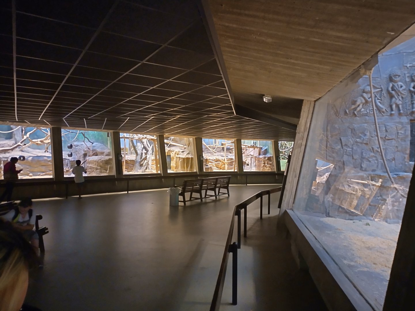 Inside view of the monkey house