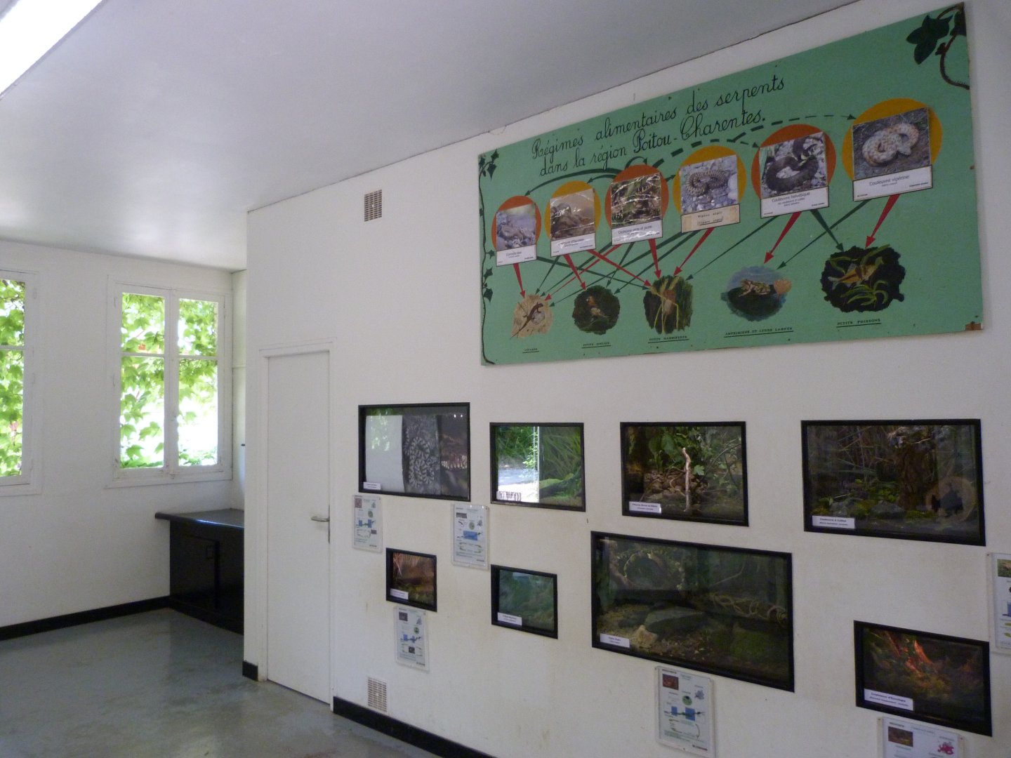 Inside view of the Vivarium -Zoodyssée (2025)