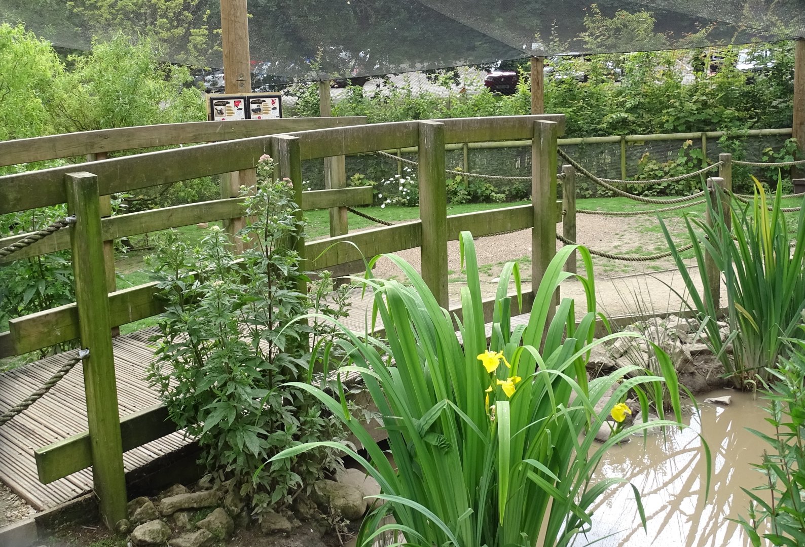 Inside walk-through aviary, 29th June 2024