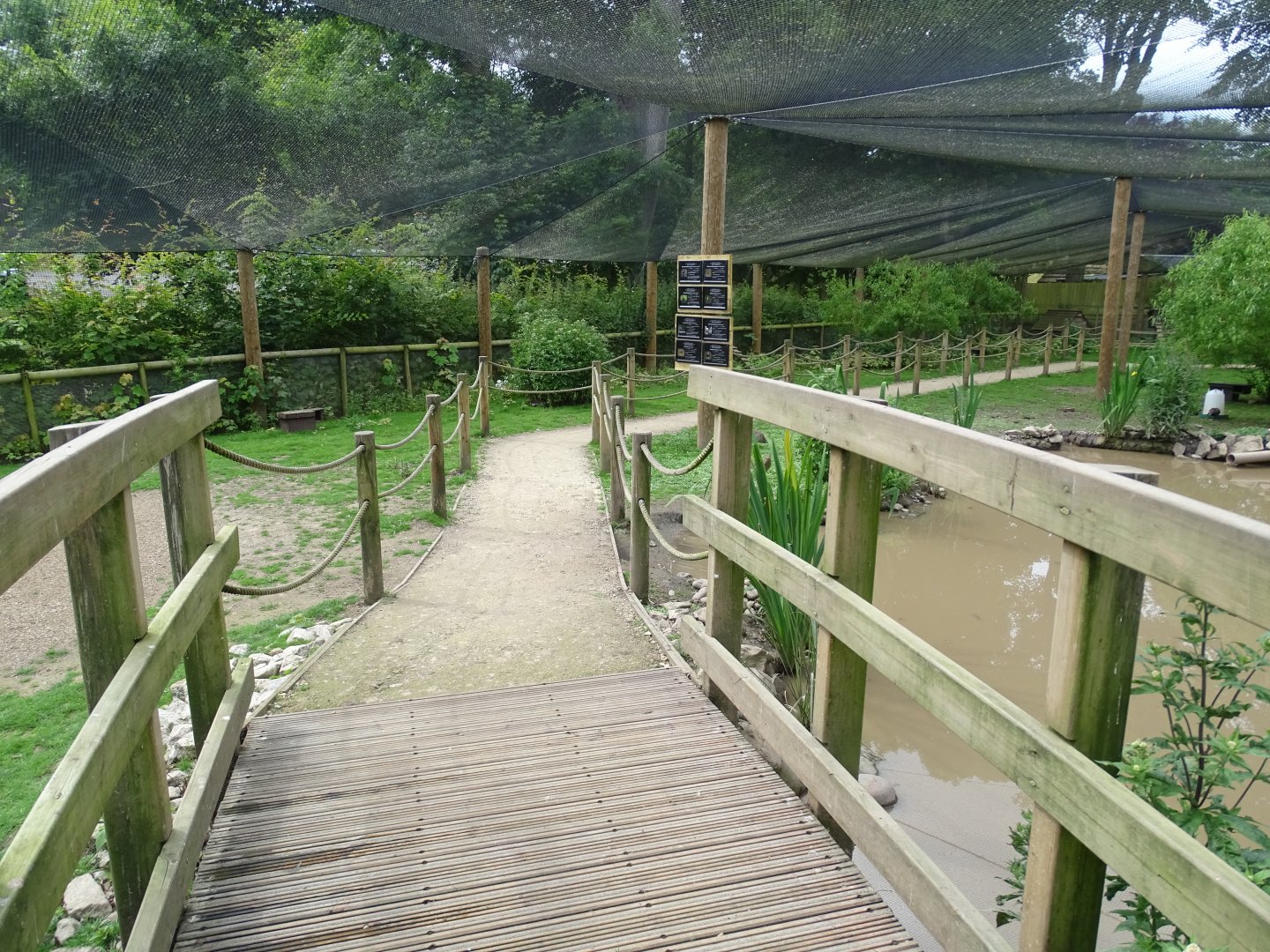Inside walk-through aviary, 29th June 2024