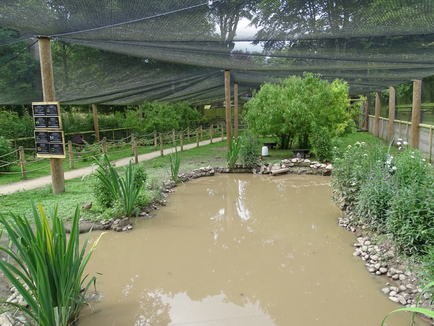 Inside walk-through aviary, 29th June 2024