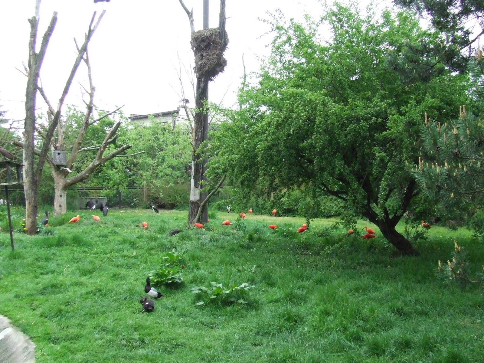 Inside walk-through aviary
