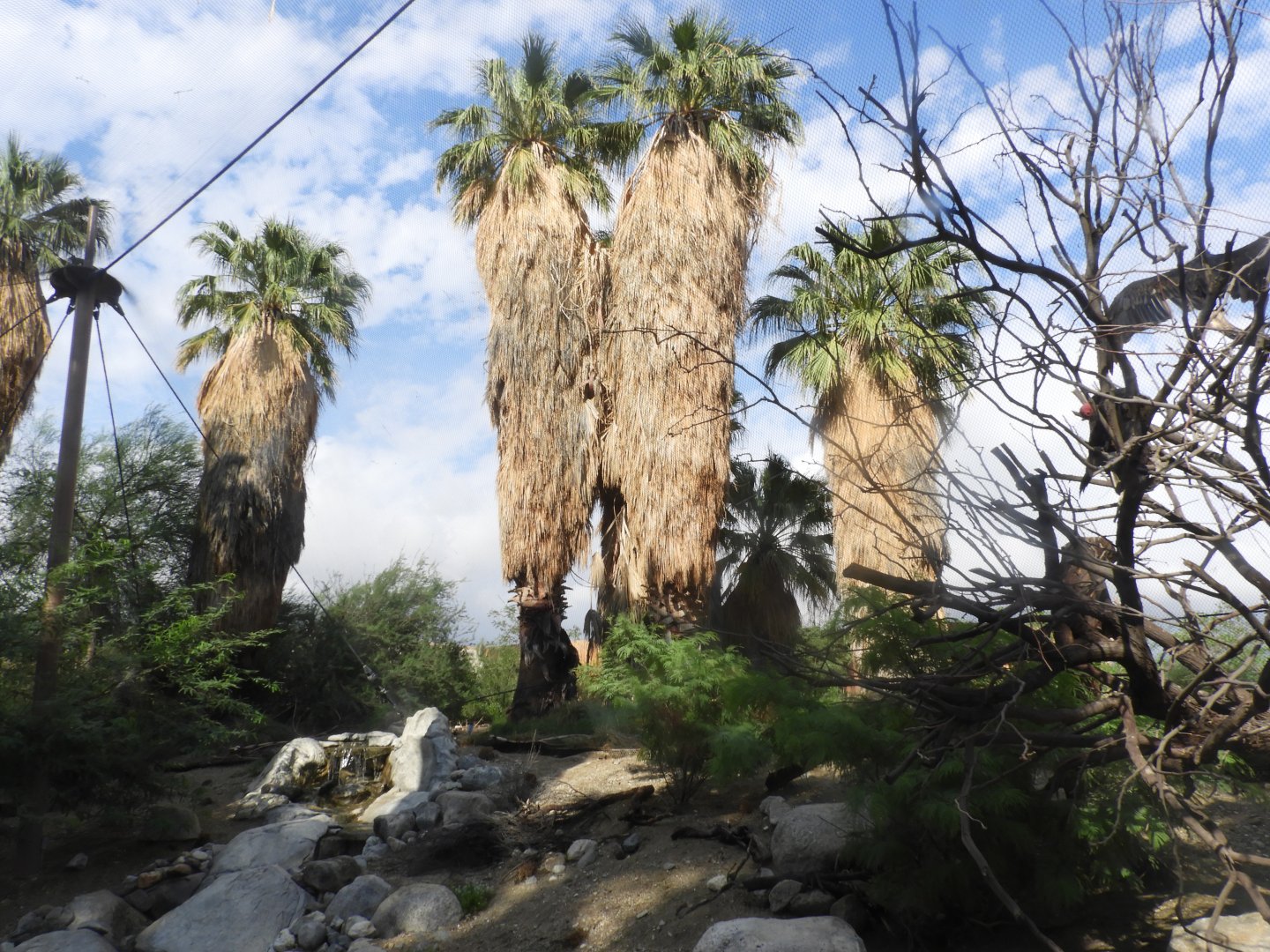 Inside walk-through aviary